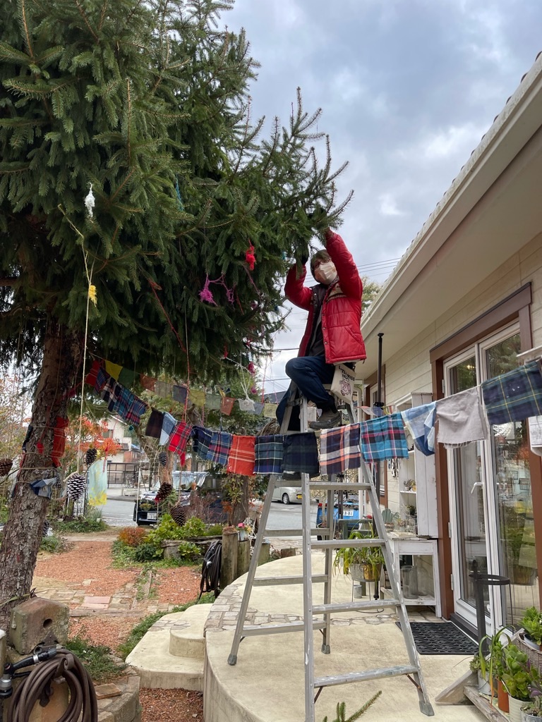 f:id:zappa38:20211208120356j:image f:id:zappa38:20211208120356j:image