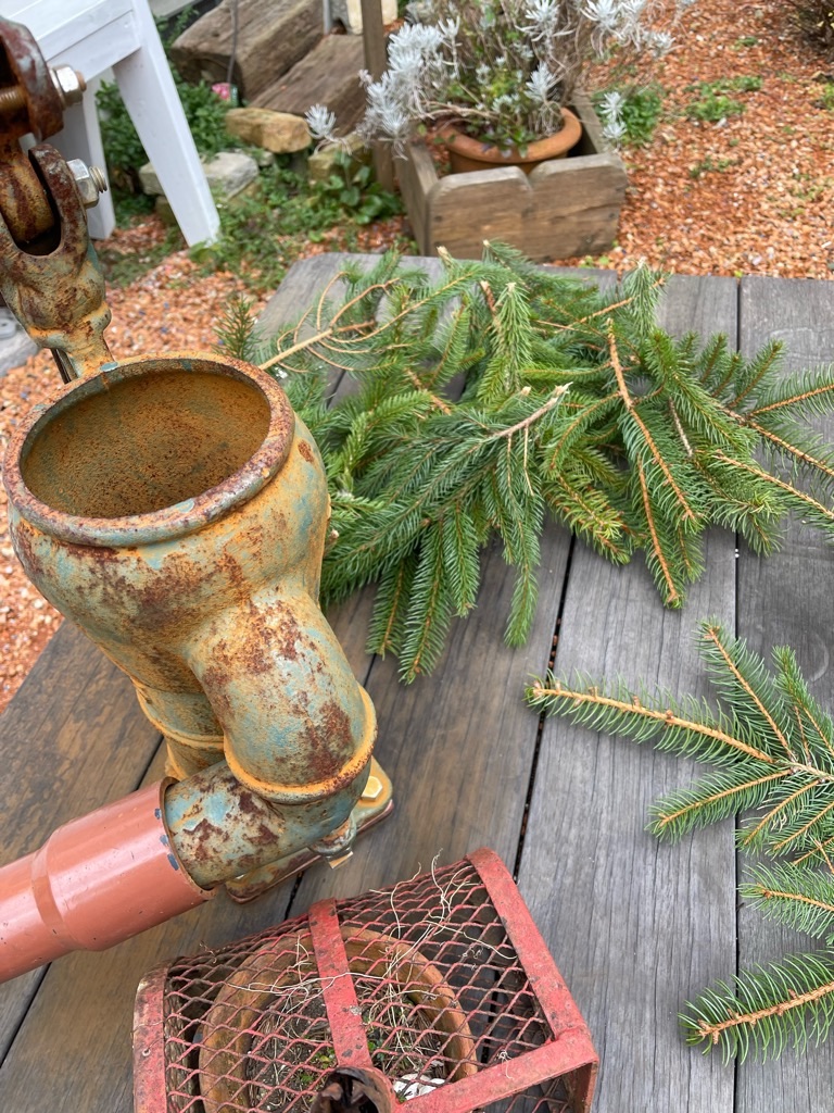 f:id:zappa38:20211208120409j:image f:id:zappa38:20211208120409j:image