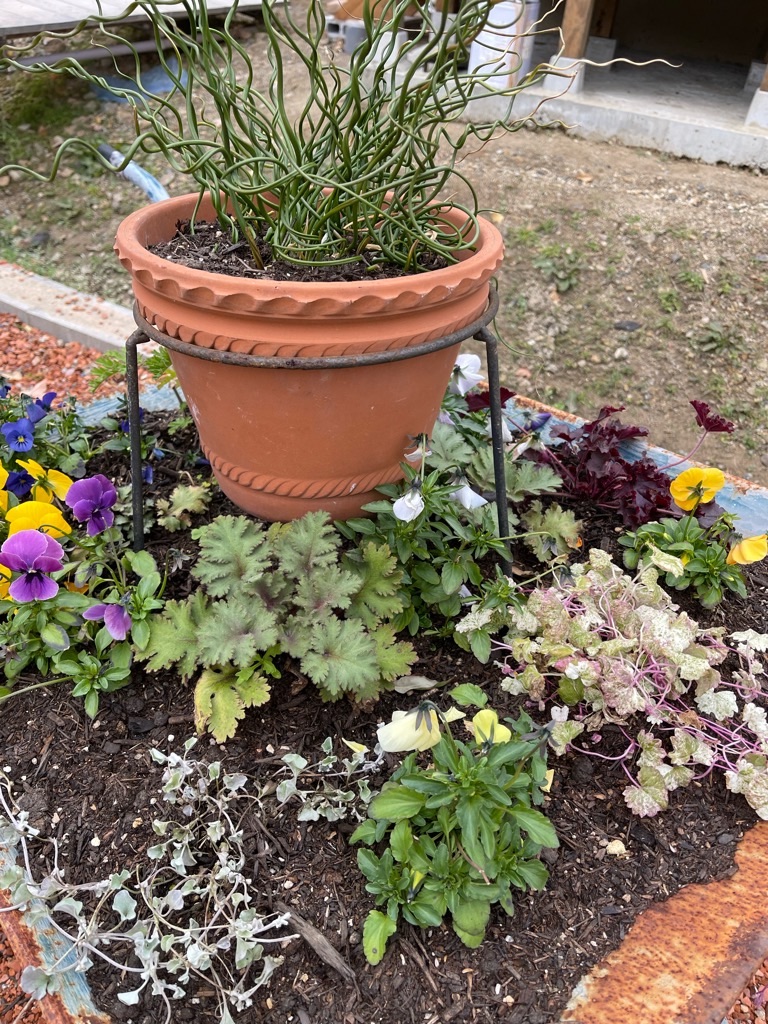 f:id:zappa38:20211208120413j:image f:id:zappa38:20211208120413j:image