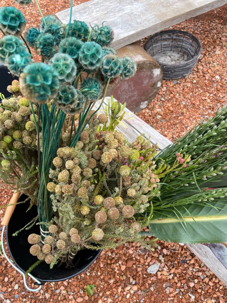 f:id:zappa38:20211208120442j:image f:id:zappa38:20211208120442j:image