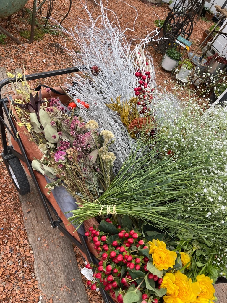 f:id:zappa38:20211208120448j:image f:id:zappa38:20211208120448j:image