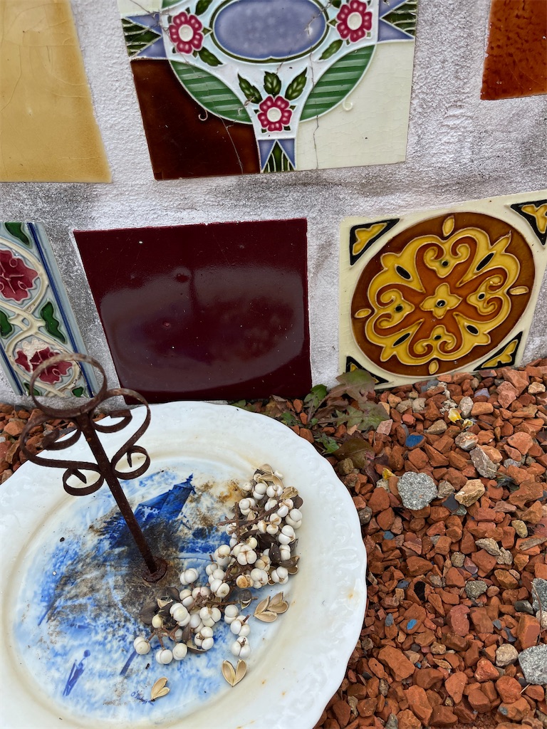 f:id:zappa38:20211217023127j:image f:id:zappa38:20211217023127j:image