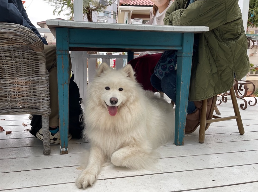 f:id:zappa38:20211217023132j:image f:id:zappa38:20211217023132j:image