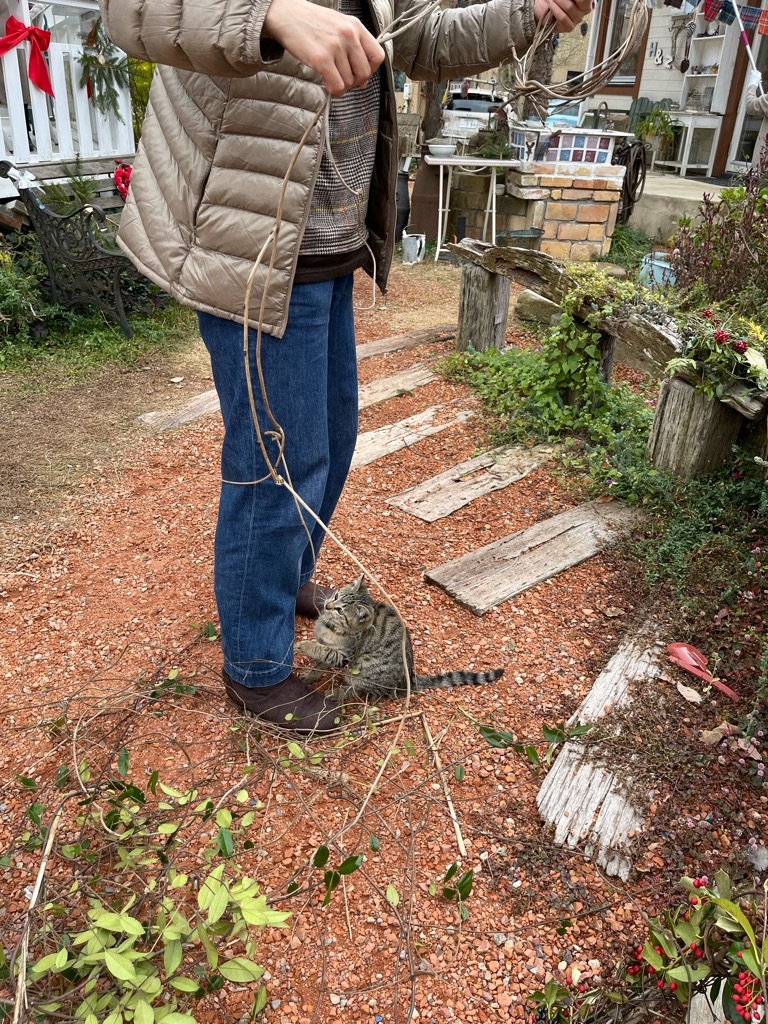 f:id:zappa38:20211217023153j:image f:id:zappa38:20211217023153j:image