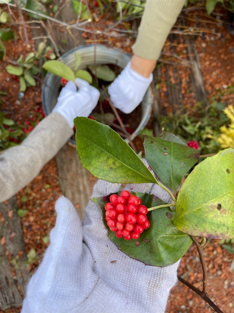 f:id:zappa38:20211217023215j:image f:id:zappa38:20211217023215j:image