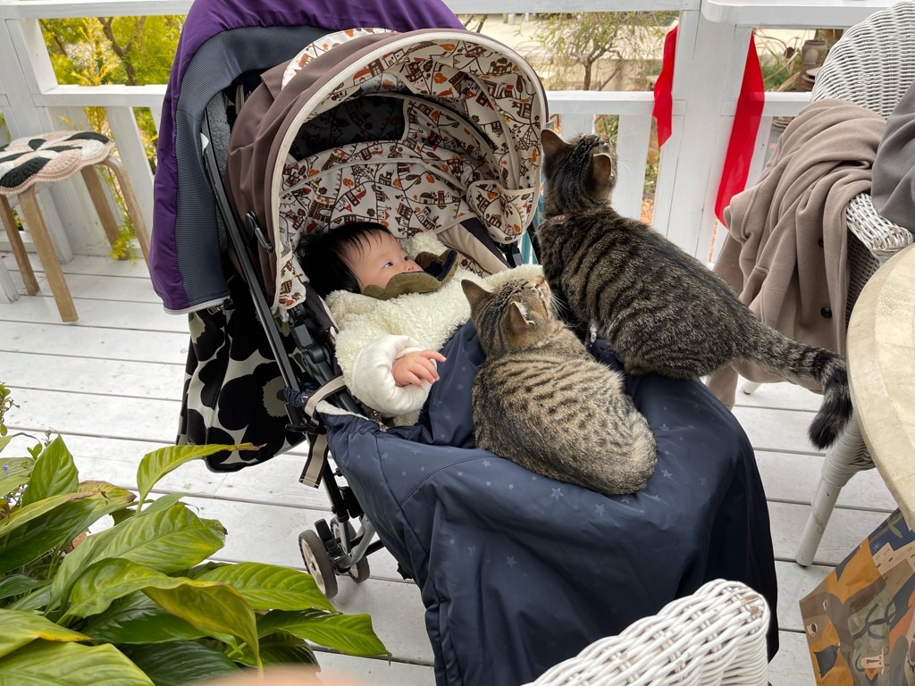 f:id:zappa38:20211217023226j:image f:id:zappa38:20211217023226j:image