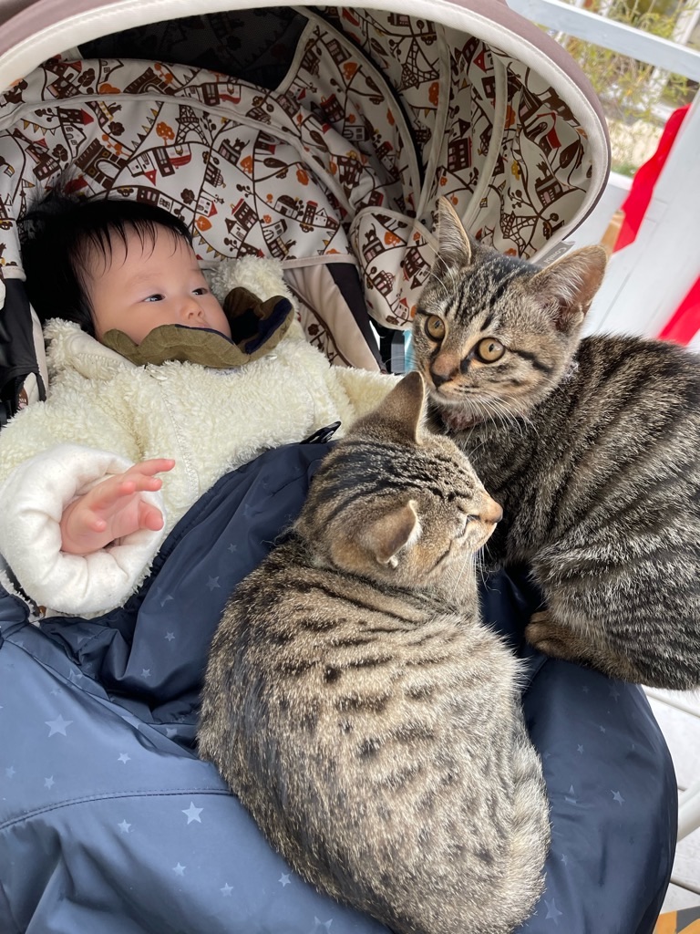 f:id:zappa38:20211217023231j:image f:id:zappa38:20211217023231j:image