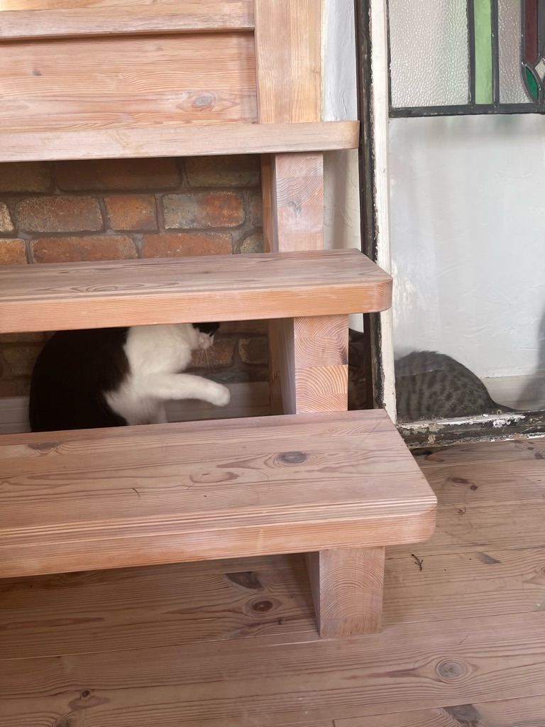 f:id:zappa38:20211218170936j:image f:id:zappa38:20211218170936j:image