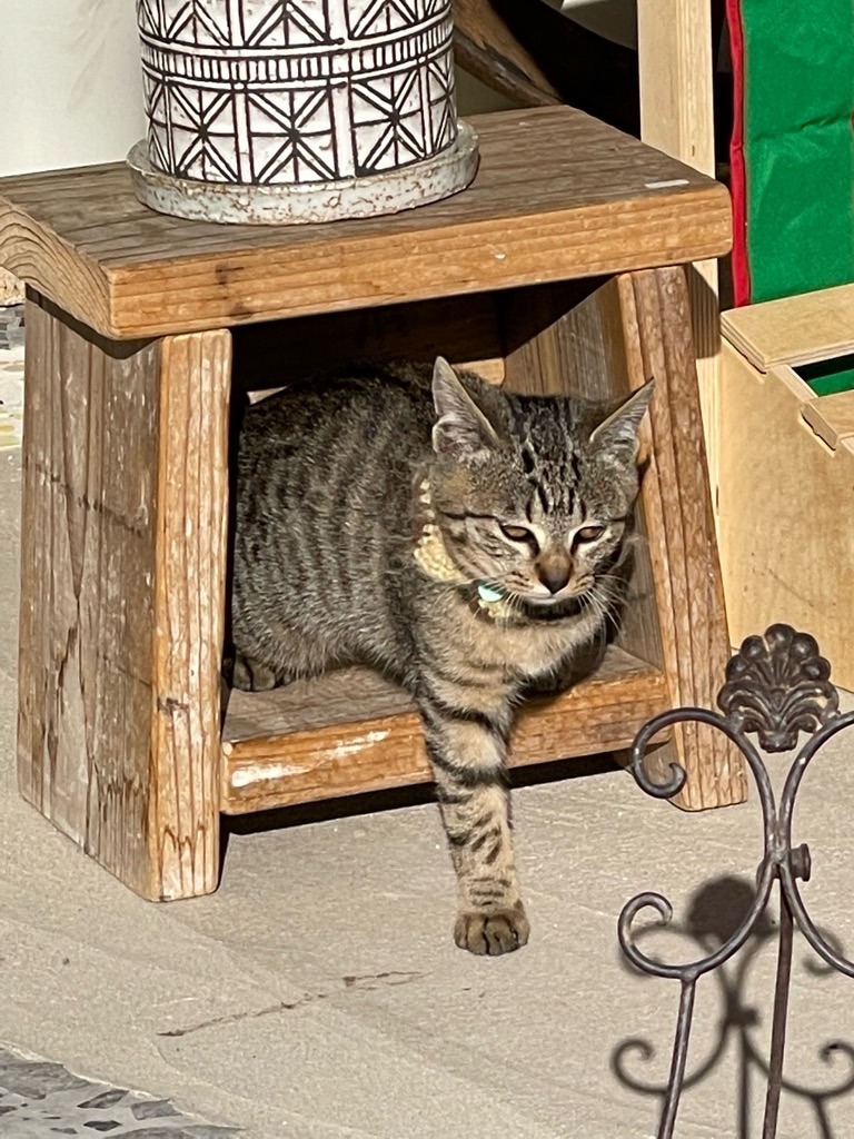 f:id:zappa38:20211218170939j:image f:id:zappa38:20211218170939j:image