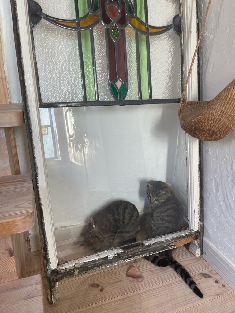 f:id:zappa38:20211218170950j:image f:id:zappa38:20211218170950j:image