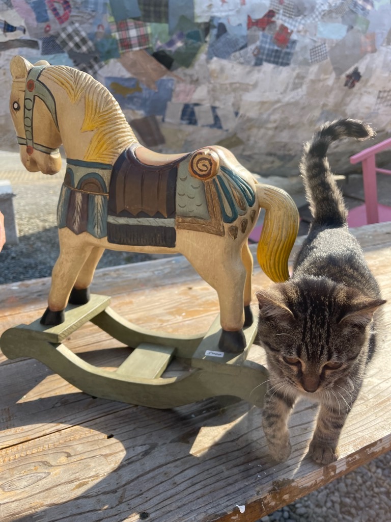 f:id:zappa38:20211221154048j:image