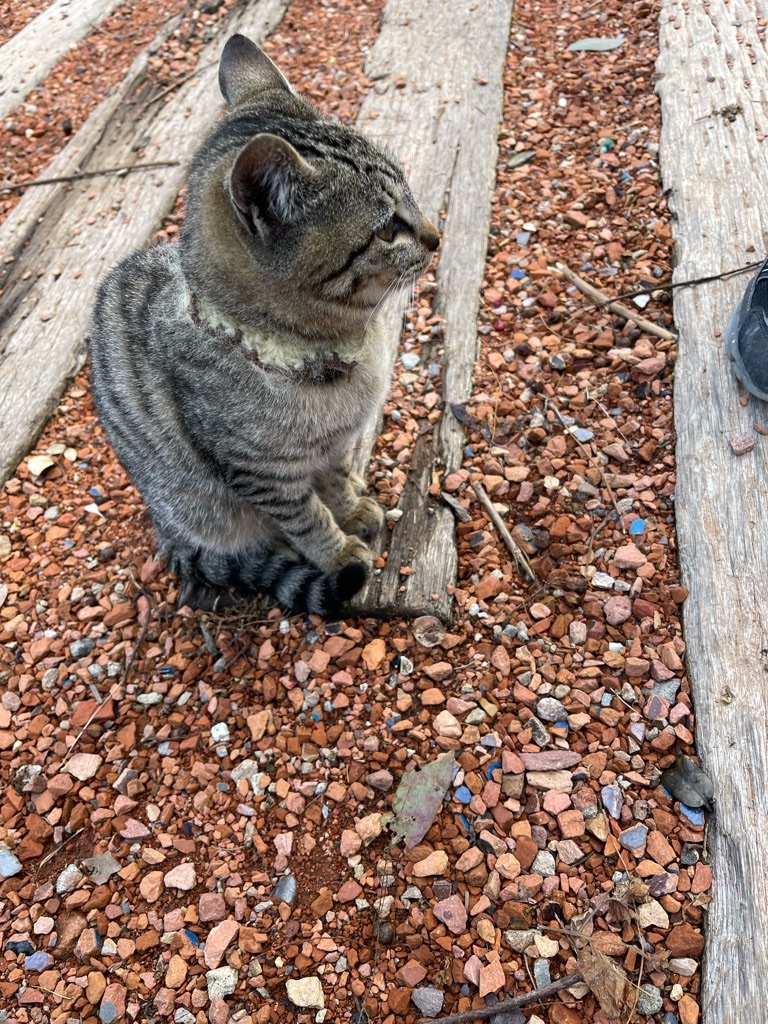 f:id:zappa38:20211224194334j:image