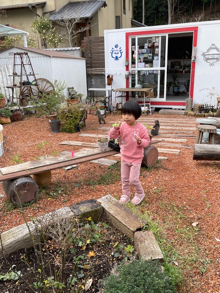 f:id:zappa38:20211229172041j:image f:id:zappa38:20211229172041j:image