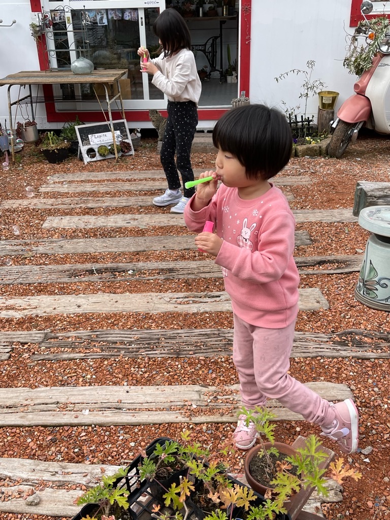 f:id:zappa38:20211229172102j:image f:id:zappa38:20211229172102j:image