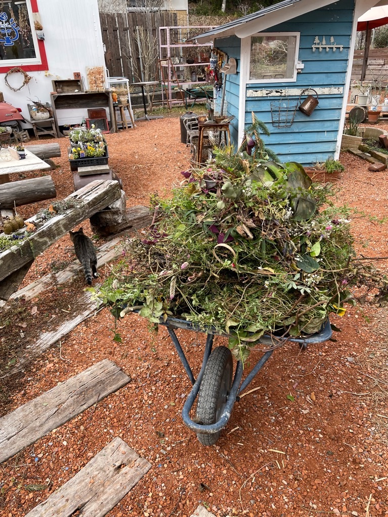 f:id:zappa38:20211229172114j:image f:id:zappa38:20211229172114j:image