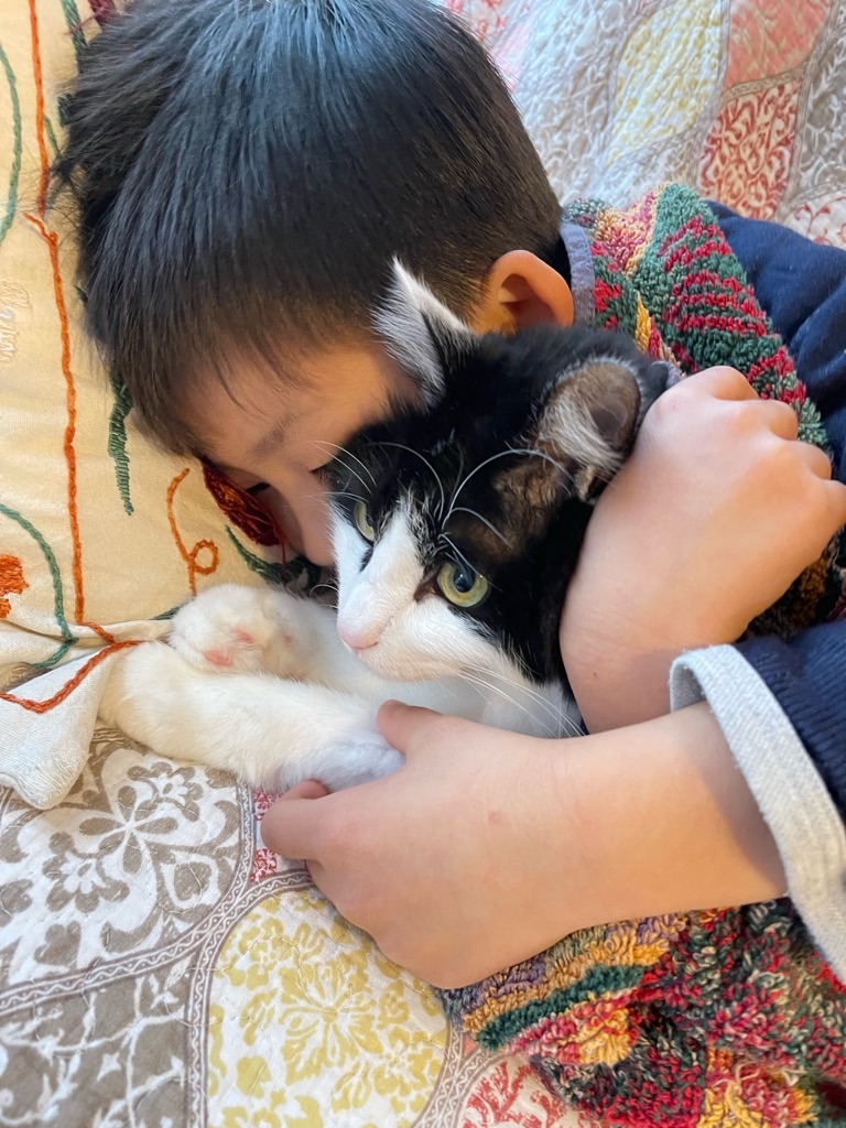 f:id:zappa38:20220106204839j:image