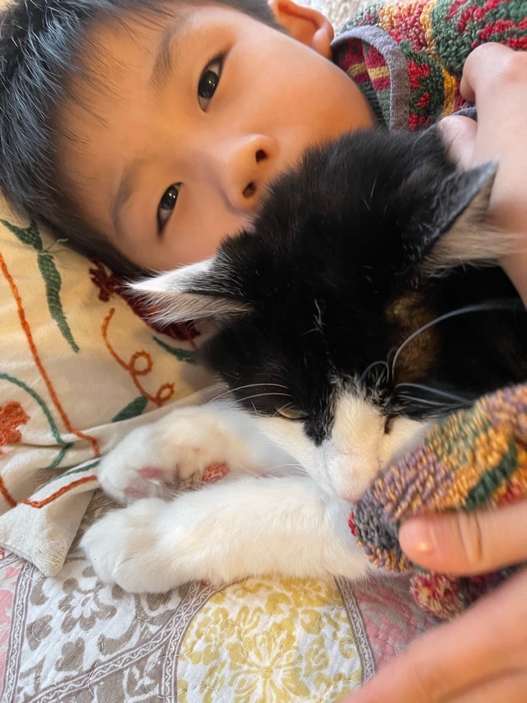 f:id:zappa38:20220106204847j:image