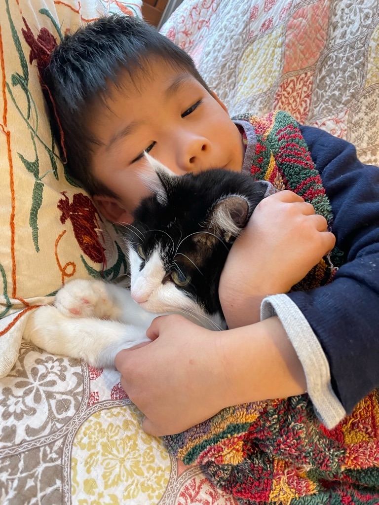 f:id:zappa38:20220106204902j:image