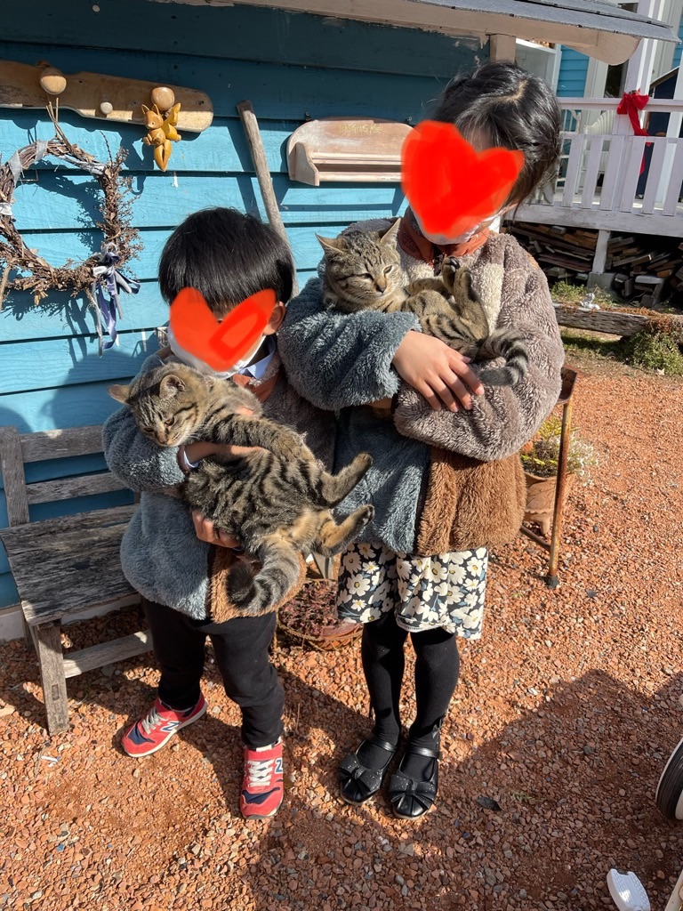 f:id:zappa38:20220106204917j:image