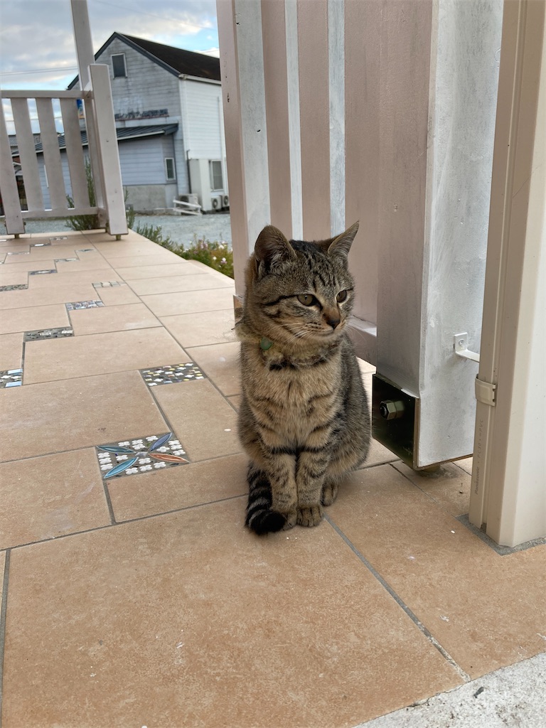 f:id:zappa38:20220108045432j:image