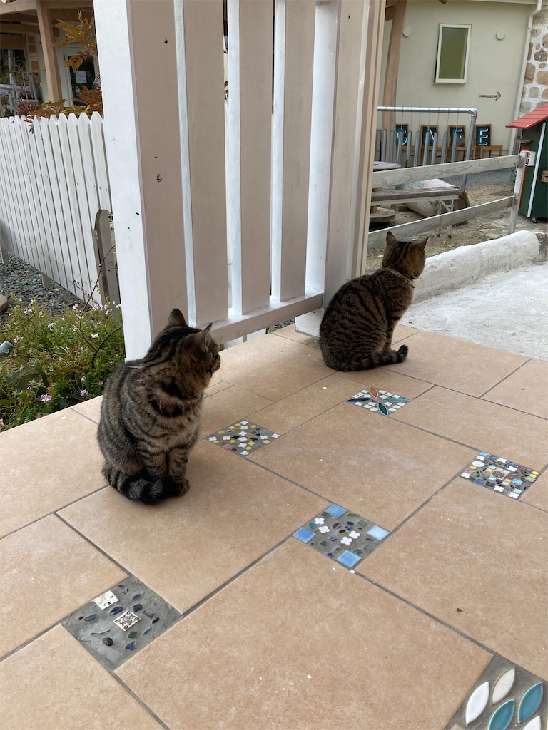 f:id:zappa38:20220108045435j:image