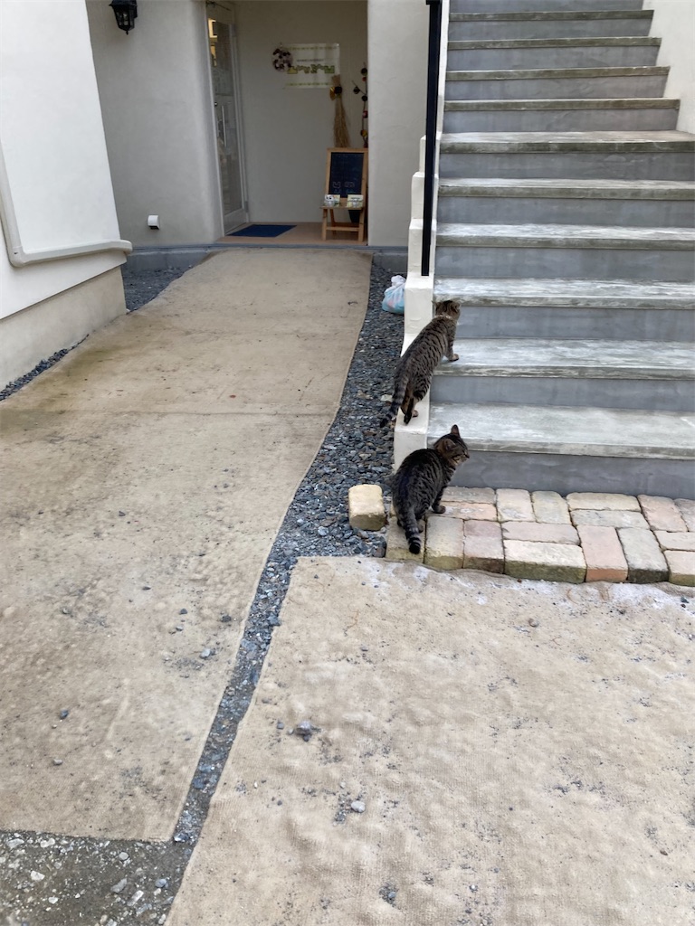 f:id:zappa38:20220108045437j:image