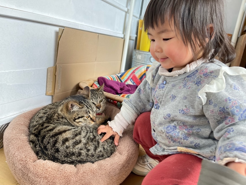 f:id:zappa38:20220308071551j:image