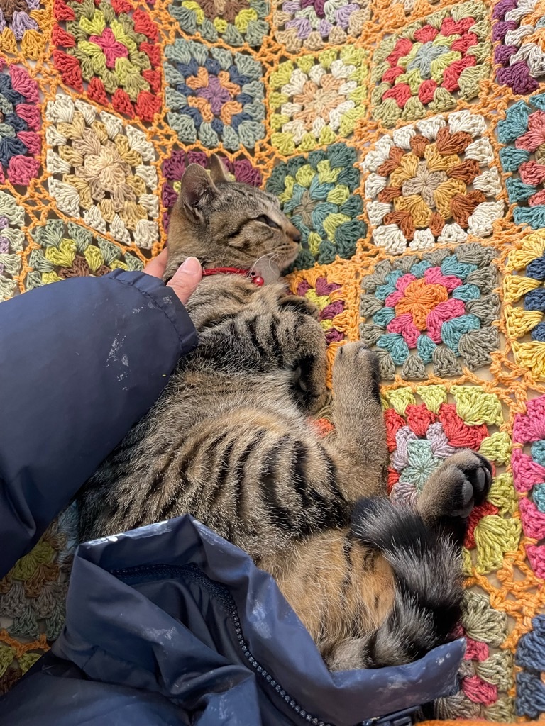 f:id:zappa38:20220308072522j:image