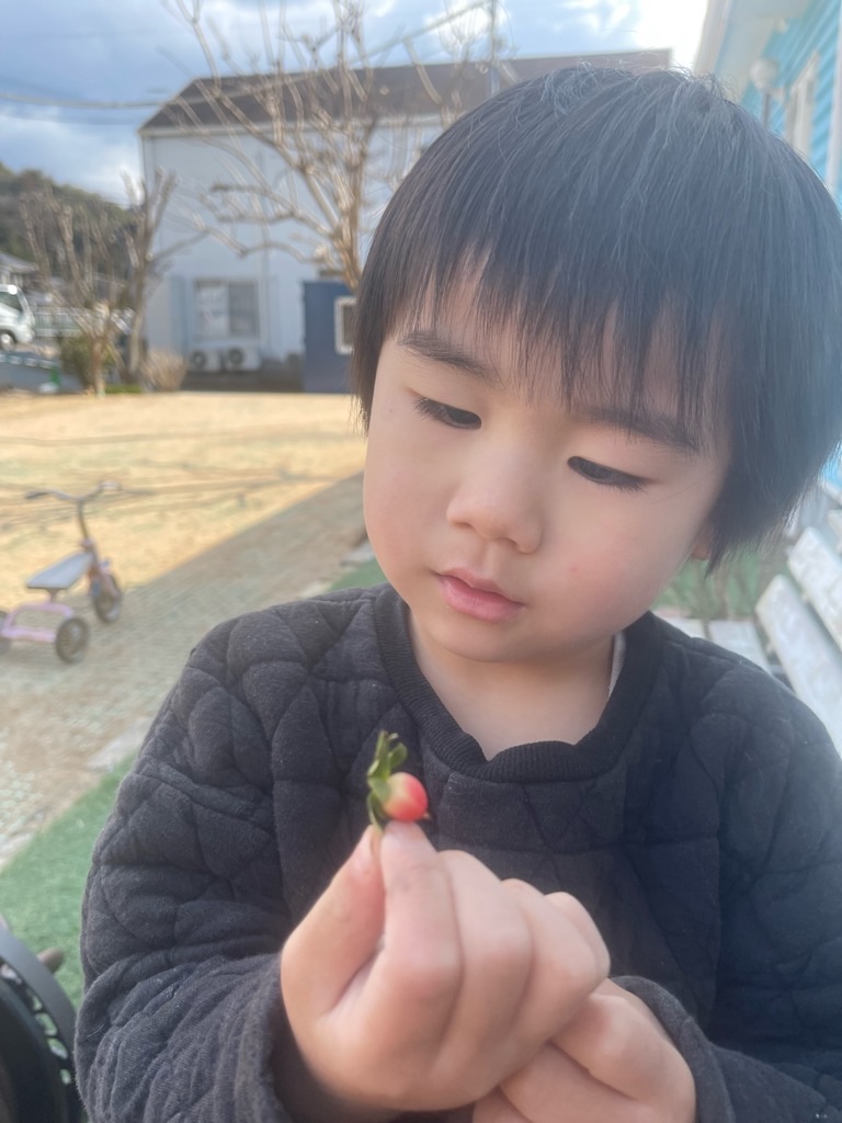 f:id:zappa38:20220308072528j:image