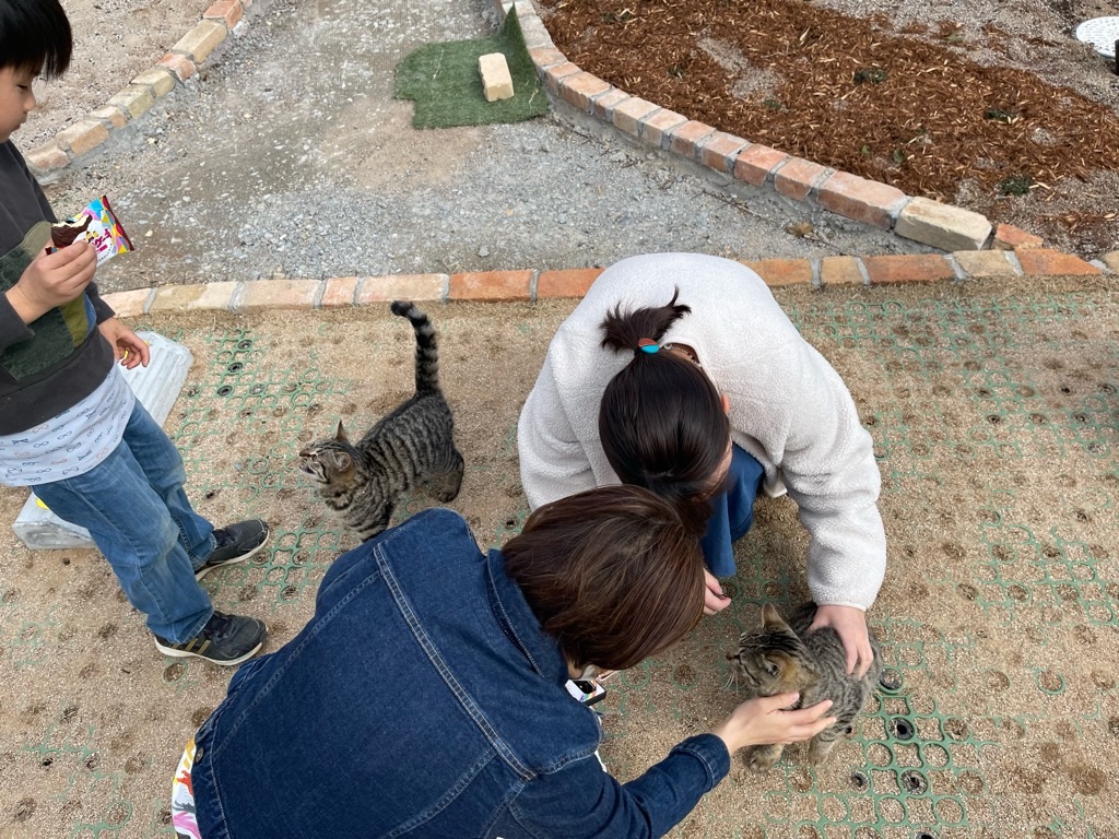 f:id:zappa38:20220308072536j:image