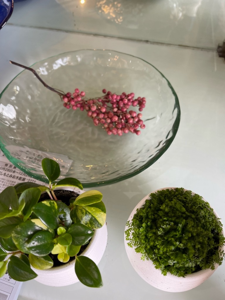 f:id:zappa38:20220321232235j:image