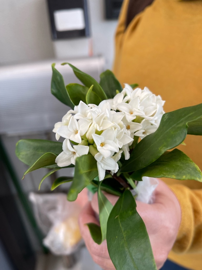 f:id:zappa38:20220323193010j:image