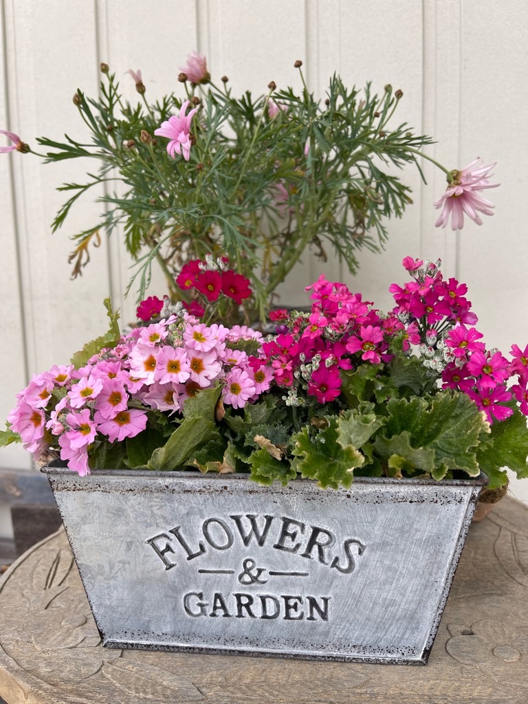 f:id:zappa38:20220329213523j:image