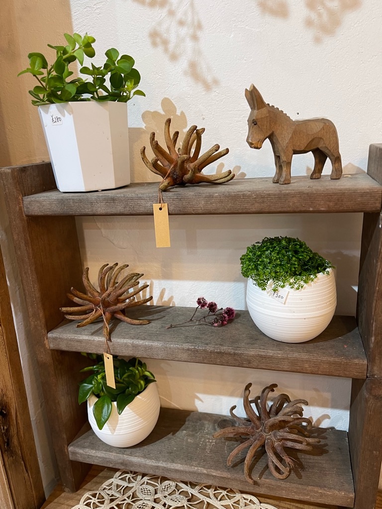 f:id:zappa38:20220329213533j:image