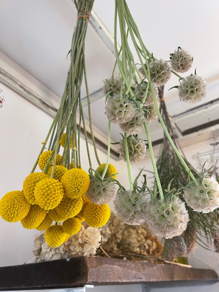 f:id:zappa38:20220329213538j:image