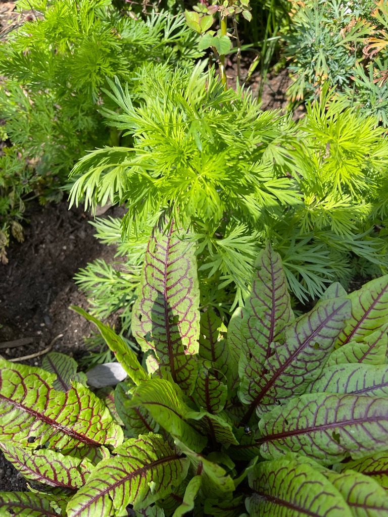 f:id:zappa38:20220404193752j:image f:id:zappa38:20220404193752j:image