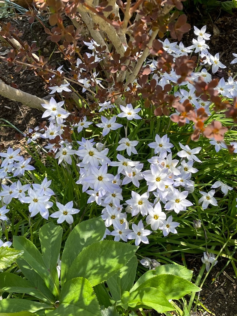 f:id:zappa38:20220404200023j:image f:id:zappa38:20220404200023j:image