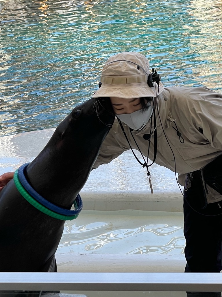 f:id:zappa38:20220412213924j:image f:id:zappa38:20220412213924j:image