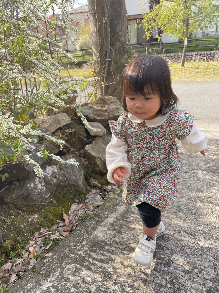 f:id:zappa38:20220412213933j:image f:id:zappa38:20220412213933j:image