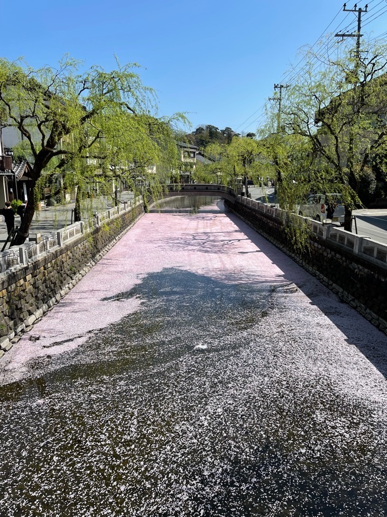 f:id:zappa38:20220412213937j:image f:id:zappa38:20220412213937j:image