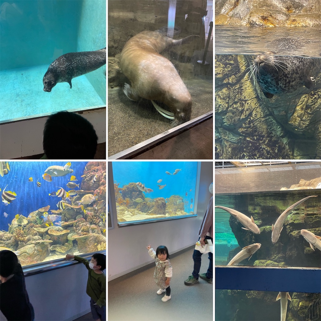 f:id:zappa38:20220412213948j:image f:id:zappa38:20220412213948j:image