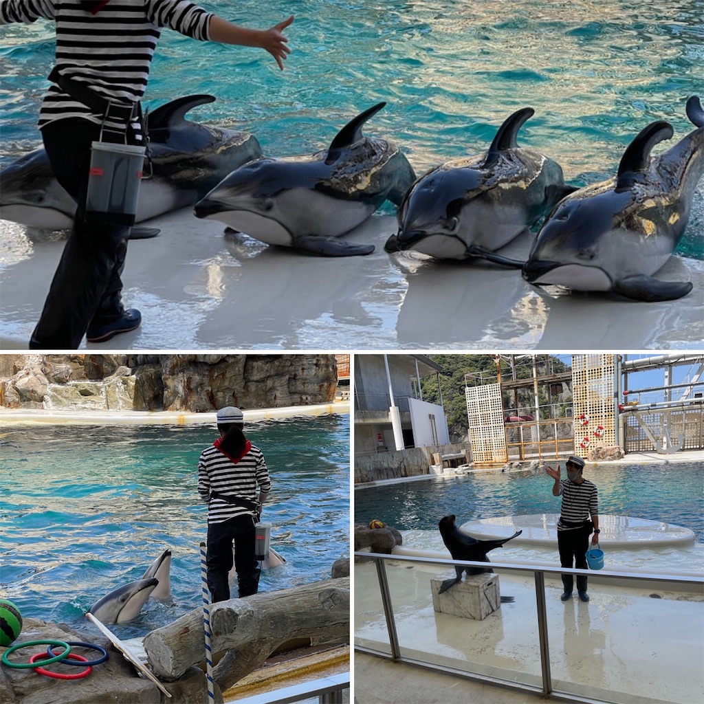 f:id:zappa38:20220412214007j:image f:id:zappa38:20220412214007j:image