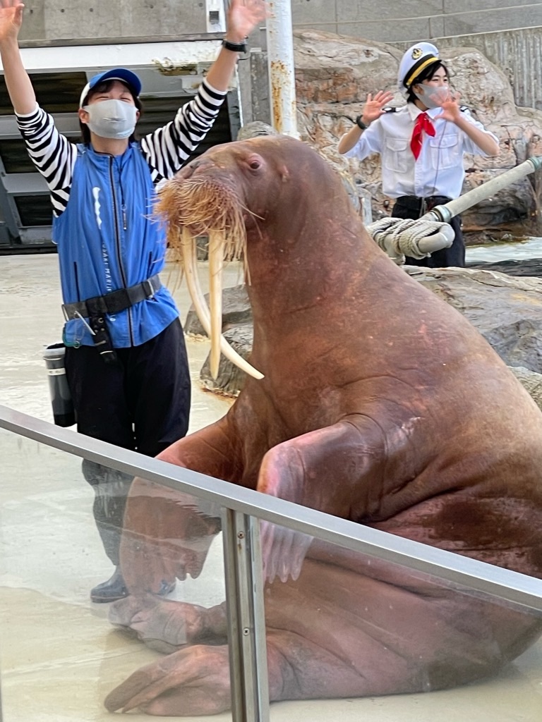 f:id:zappa38:20220412214016j:image f:id:zappa38:20220412214016j:image