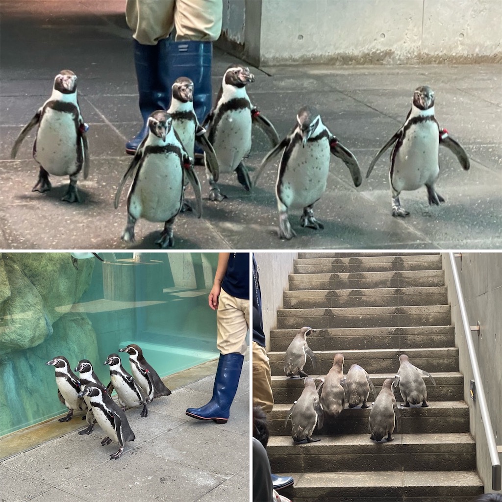 f:id:zappa38:20220412214026j:image f:id:zappa38:20220412214026j:image