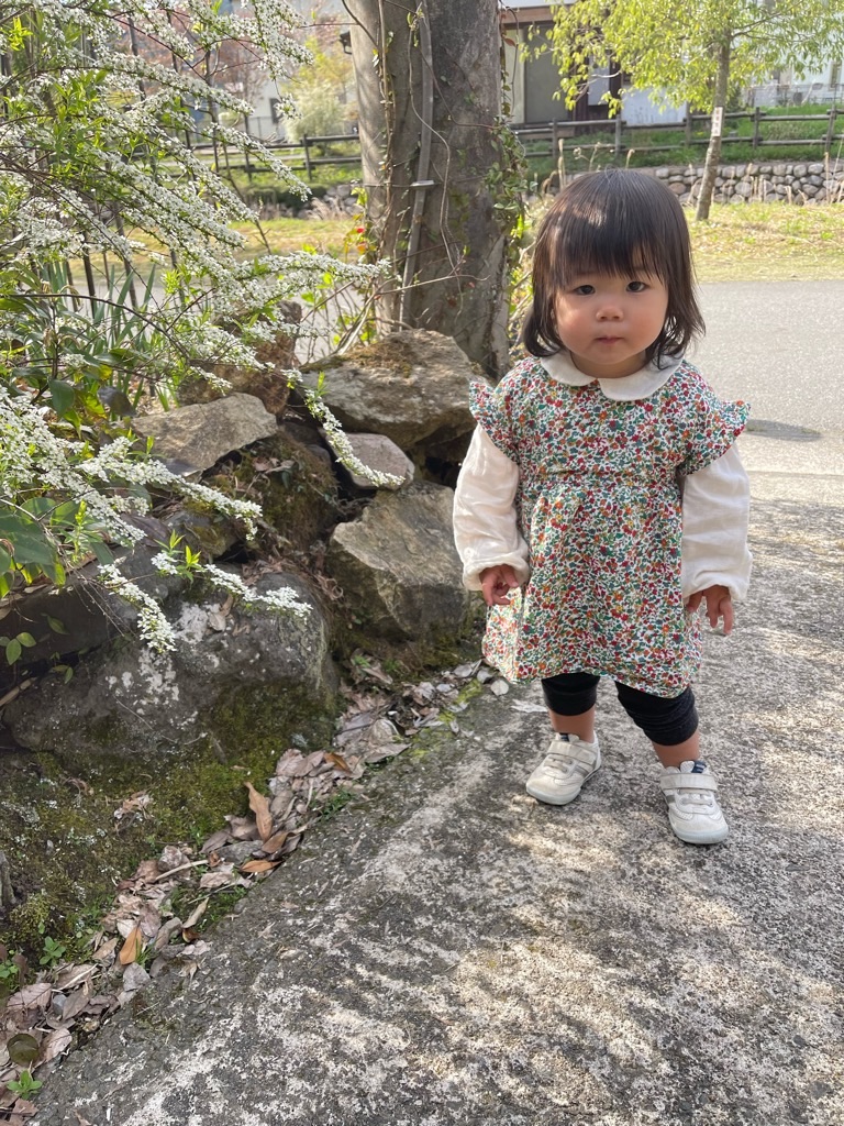 f:id:zappa38:20220412214035j:image f:id:zappa38:20220412214035j:image