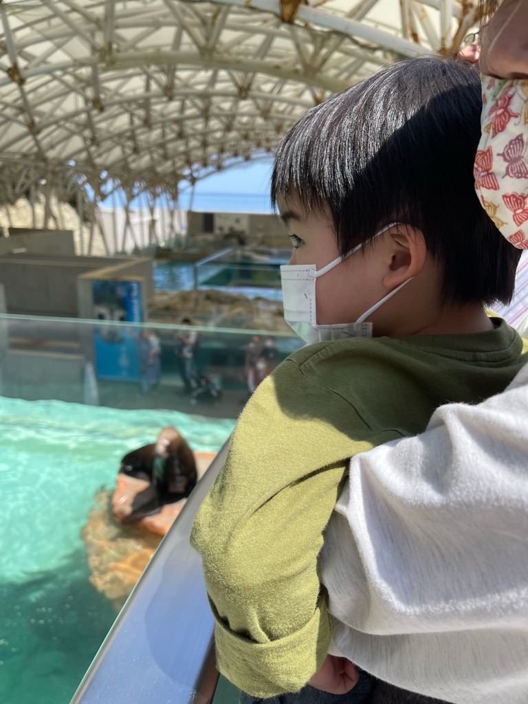 f:id:zappa38:20220412214057j:image f:id:zappa38:20220412214057j:image