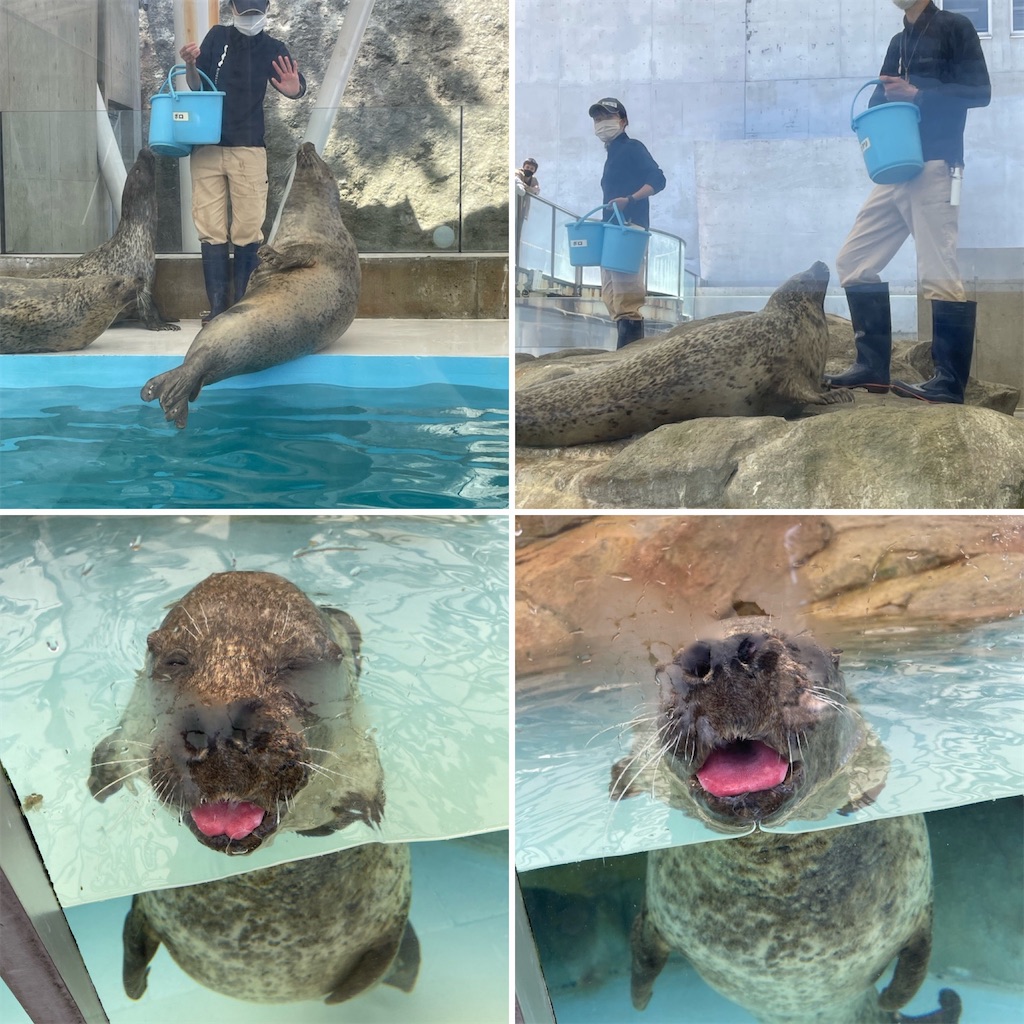 f:id:zappa38:20220412214106j:image f:id:zappa38:20220412214106j:image