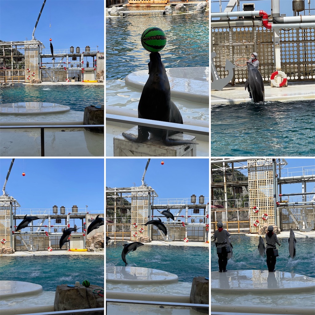 f:id:zappa38:20220412214113j:image f:id:zappa38:20220412214113j:image