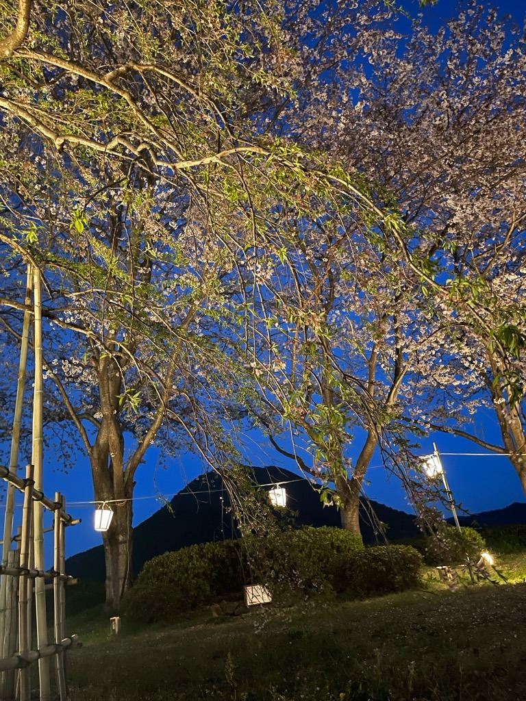 f:id:zappa38:20220413054427j:image