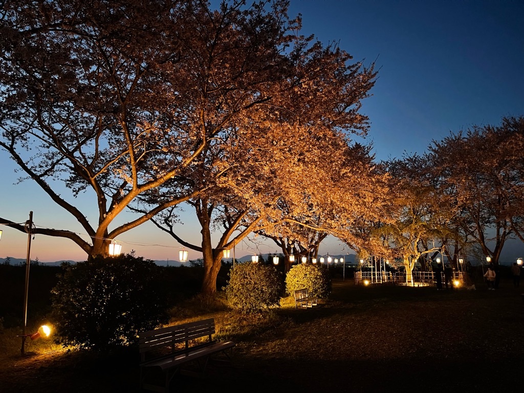 f:id:zappa38:20220413054441j:image